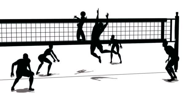 Volleyboll med Svenska.fi